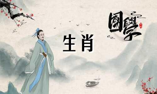 1975年的兔子是什么感觉