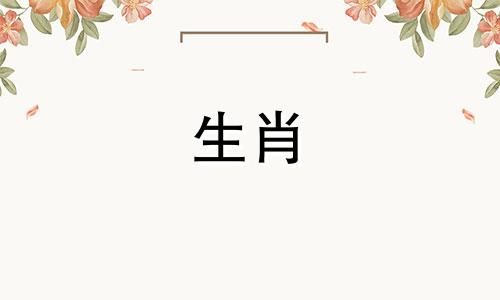 1999年兔子的生活是怎样的?