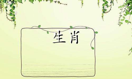 1991年,属羊的女人,怎么会有二次婚姻呢?