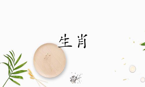 你的马是什么时候出生的?