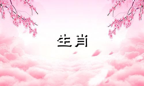 鸡男性格与爱情人生中的几段婚姻