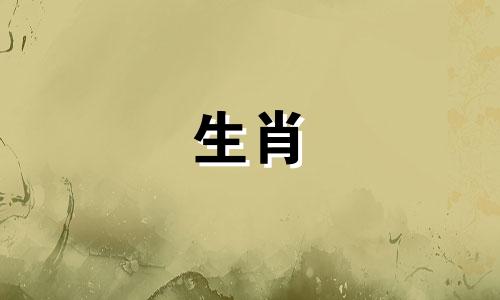 92年属猴的右边儿是哪一年出现的?这只属猴多大了?