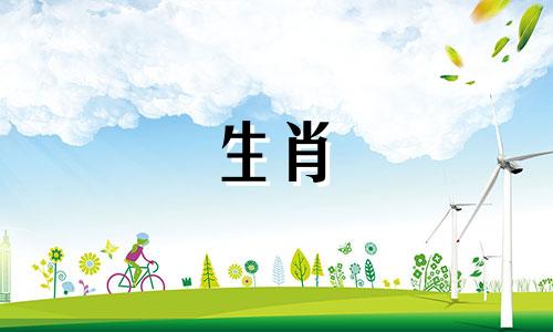 2022年是牛的大财政年吗?