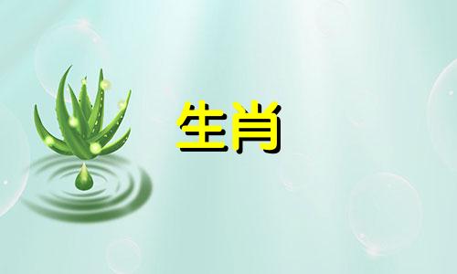 1978马女后半生的命运是什么?可以转让多少年