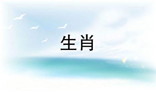 03年是羊高考好运2003羊男2022高考