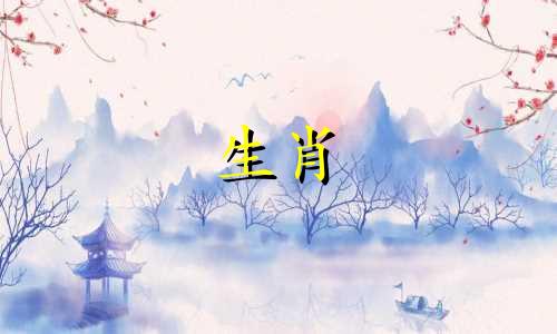 狗人51岁健康问题重病怎么办?