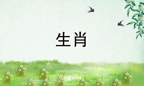 2022年你会有新的恋情吗?