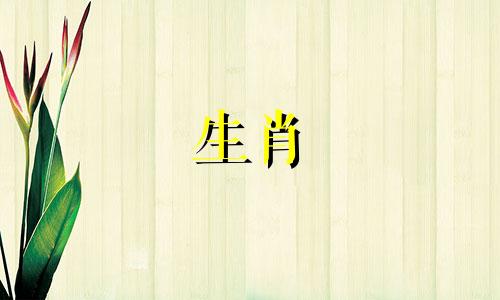 1971猪女2021好运7月1日猪运2021钱怎么样