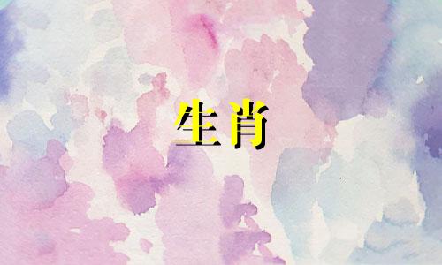 鸡和狗什么时候结婚?鸡和狗能结婚吗?