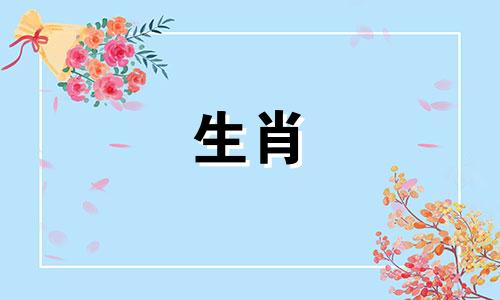 71岁的猪男人外遇是猪已婚男人对待外遇