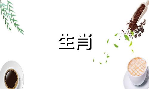 属龙2022虎年星象属龙2022月月星象
