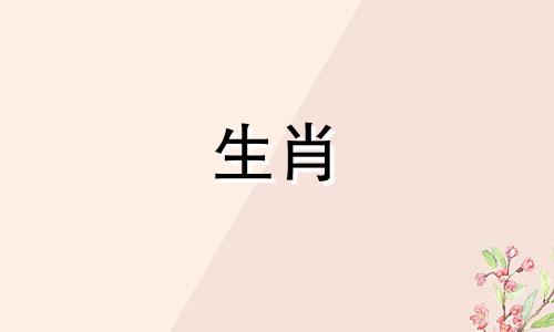 2019年是猪年,可以建房吗?构建时要小心