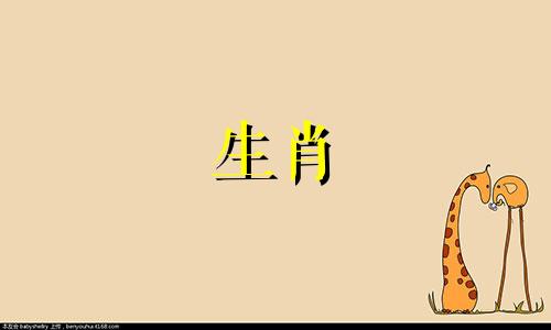 鸡和属鼠的婚姻?96雄鼠93雌鸡