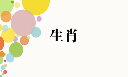 属鼠与什么物种相容?属鼠和猪能相容吗?