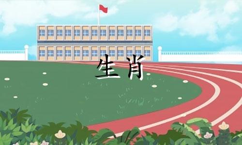 属鼠和兔子怎么结婚?属鼠和兔子匹配吗?