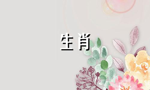 马猴的生肖婚姻合得来吗?母猴和公马能一生一世吗?