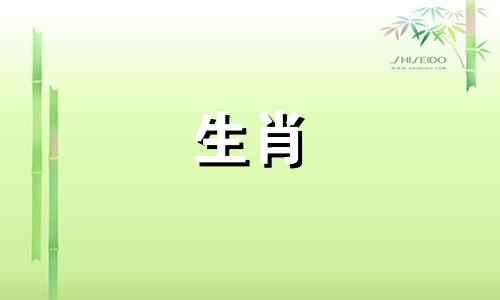 两只94的狗结婚好吗?两只94岁的狗会结婚吗?