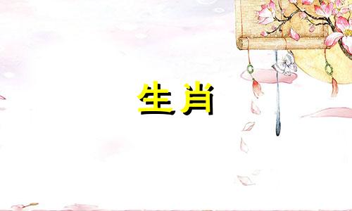 公猴和母猴之间的婚姻匹配吗?母猴的特点是什么?