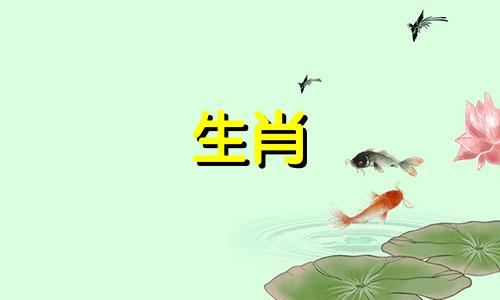 那雄虎与雌蛇的婚姻呢?