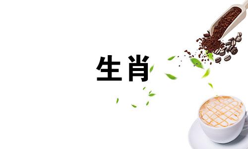 据说蛇虎是断头婚姻如何破解蛇虎婚姻