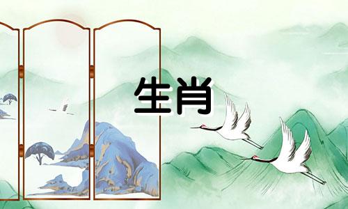 猪猴婚姻真的很糟糕吗?