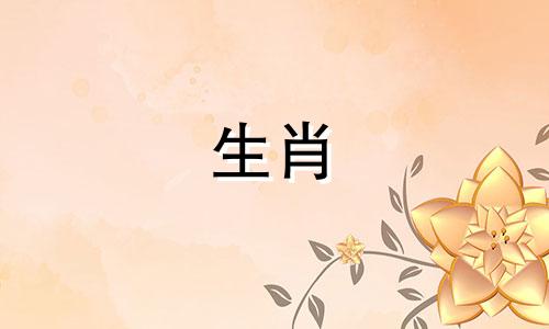 每只兔子一生中都会有第二次婚姻。