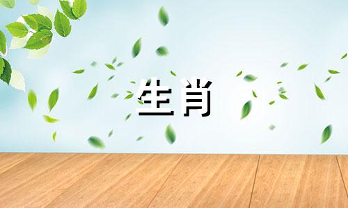 属龙配牛吗?属龙能和牛斗一辈子吗?