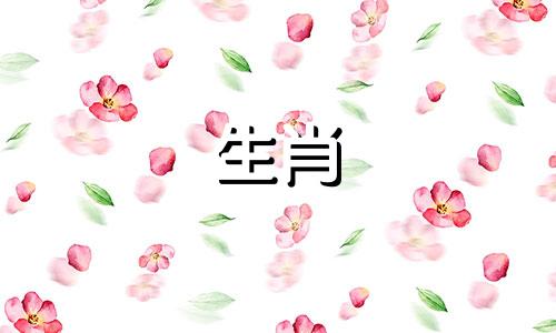 91只羊和91只羊结婚好吗?婚姻意味着什么?