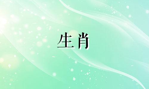 羊和属鼠是一对好伴侣吗?