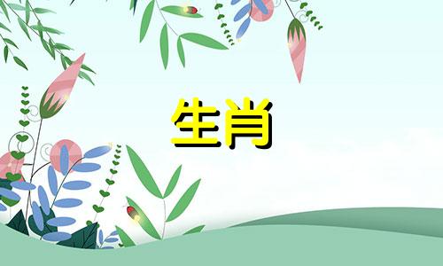 猪年婚礼伴娘选择什么生肖猪年婚礼禁忌什么生肖伴郎