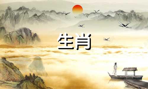 公羊母鸡婚配好公91羊和93母鸡可以结婚