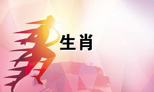 公牛与母虎的婚姻是否匹配85公牛与86母虎匹配