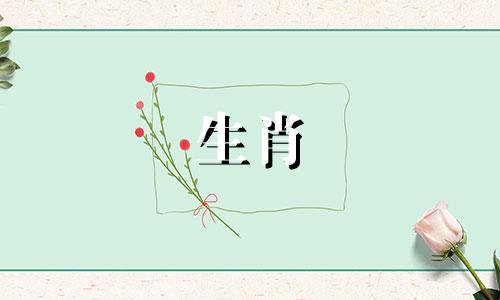 牛羊会聚在一起吗?牛羊是如何致富的?