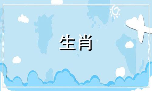 公狗母鼠婚配婚姻的意义是什么