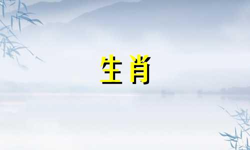 公兔母马婚配公兔公马婚配好