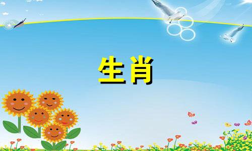 95年是猪哪一年王桃花是猪2021年结婚好不好