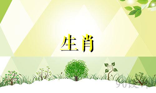 结婚时避开动物标志的鼠属动物