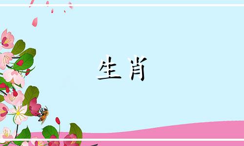 狗和属鼠兼容吗?狗和属鼠能和睦相处吗?