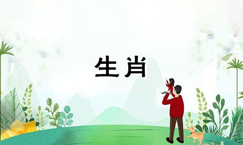 猪猴伤害哪一方严重谁一起伤害猪猴