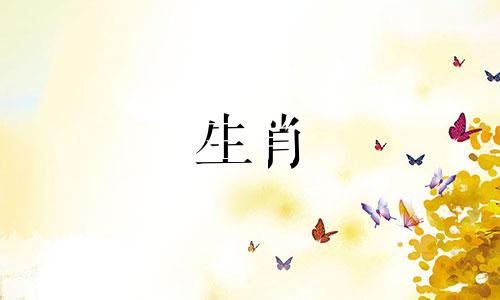 2021年猪适合结婚吗?哪些生肖适合结婚