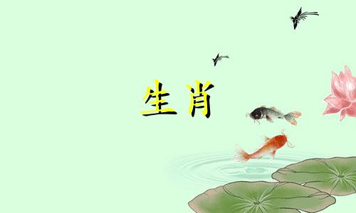 1993公鸡1995母猪结婚93鸡和95猪不能在一起