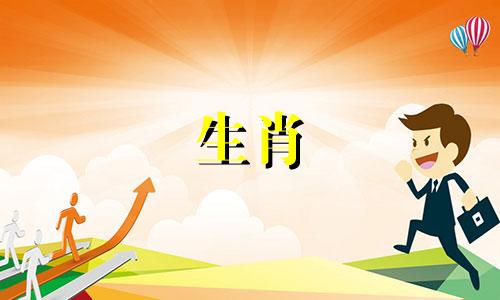 鸡和羊是一对好夫妻吗?一只鸡和一只羊怎么样?