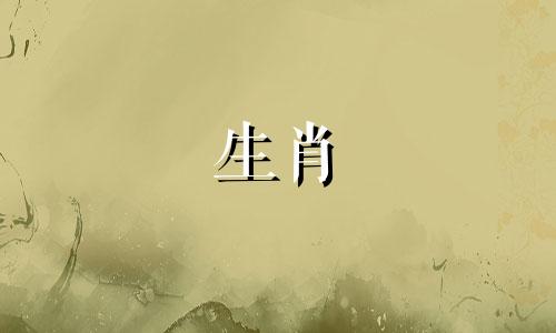 牛和什么属相最适合1997年属牛的女人结婚一辈子