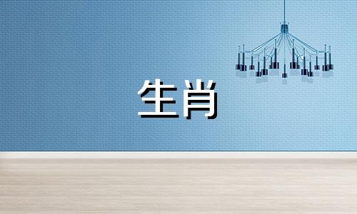 猪马婚姻是否合得来,财运如何?