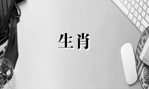 当羊和属鼠相遇时,一旦羊和属鼠的婚姻破裂,这意味着什么