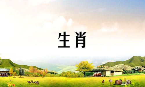 雄鼠与雌属龙的配对如何?属龙和属鼠能兼容吗?00和96