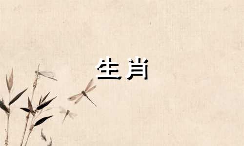 羊兔相亲兔女为何找不到羊男