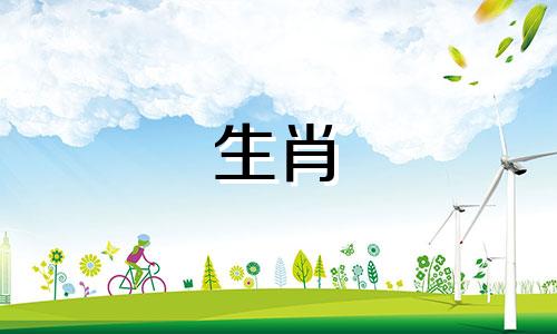 1994年哪个属适合养狗,94年哪个年龄适合养狗