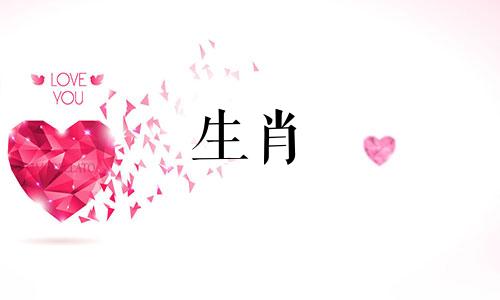 一只鸡和一只羊是否相容1991年一个羊女嫁给了一个鸡男