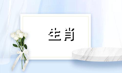 马与马的最佳婚配是什么?